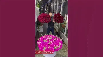 Доставка по Москве и по бесплатная, самый лучший розы в Москве