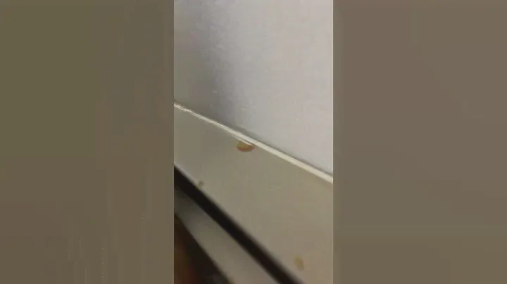 Electric Baseboard Heater