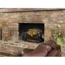 Мультиочаг Dimplex Revillusion RLG25