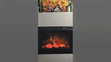 My Dimplex Electric Fireplace...The Most Realistic Of All
