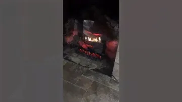 Customer Review: Dimplex Revillusion™ 25"   Plug in Electric Log Set