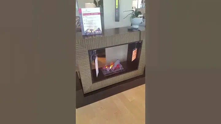 Dimplex Electric Fireplace with Opti-Myst technology.